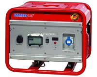 Endress ESE 306 SG-GT Duplex 